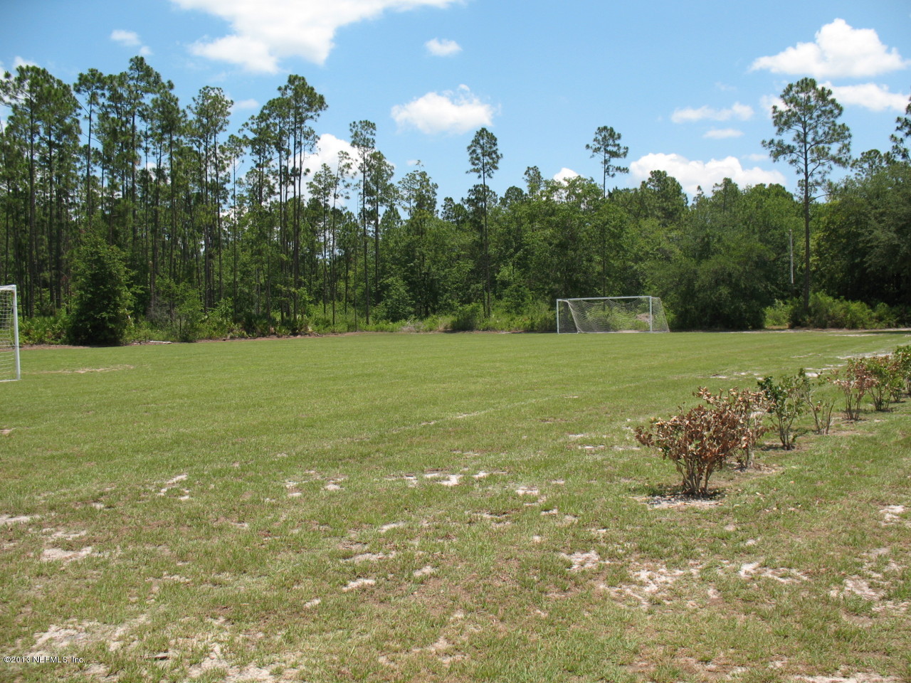 1050 Cactus Cut Road Middleburg, FL 32068 - Photo 54 of 54 a view of a field with an trees