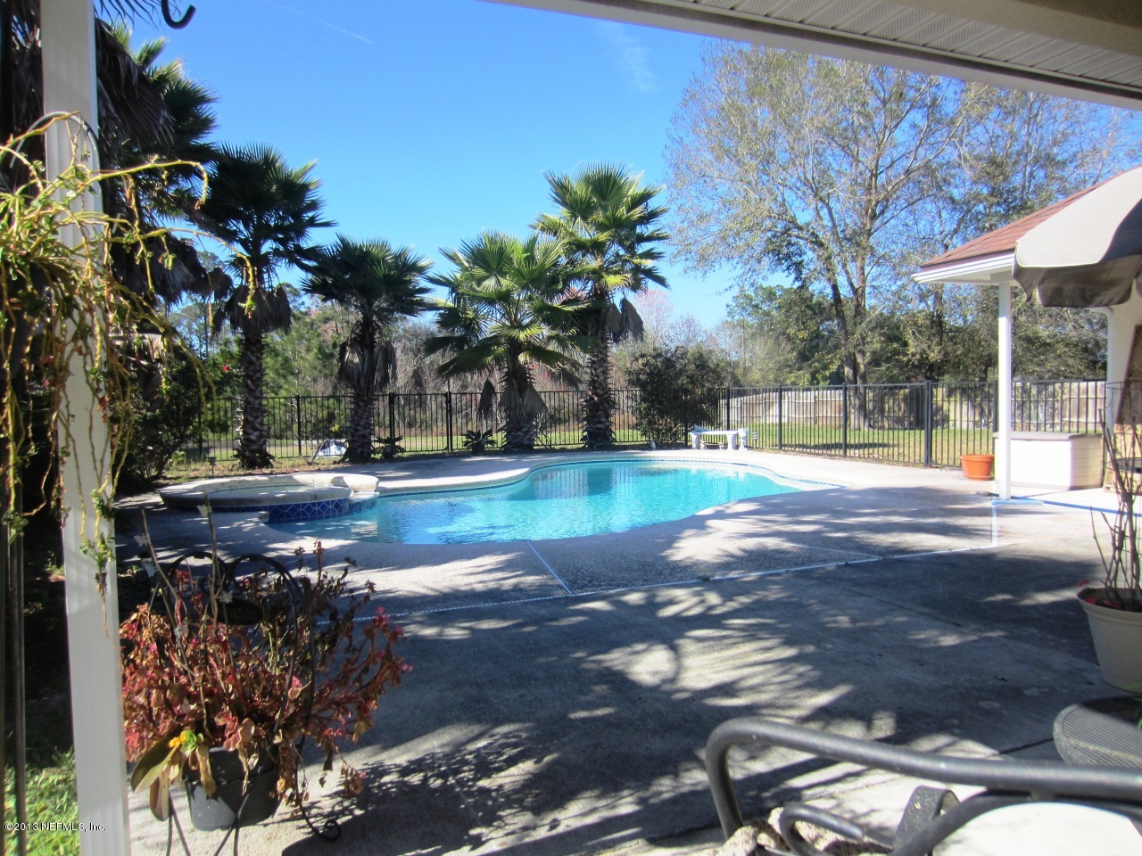 1050 Cactus Cut Road Middleburg, FL 32068 - Photo 6 of 54 a view of yard with tree