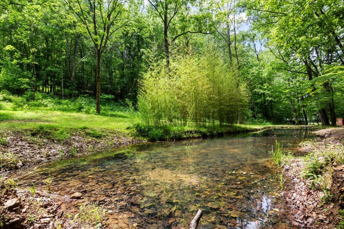 100 Croff Lane McEwen, TN 37101 - Photo 3 of 63 a view of a lake view