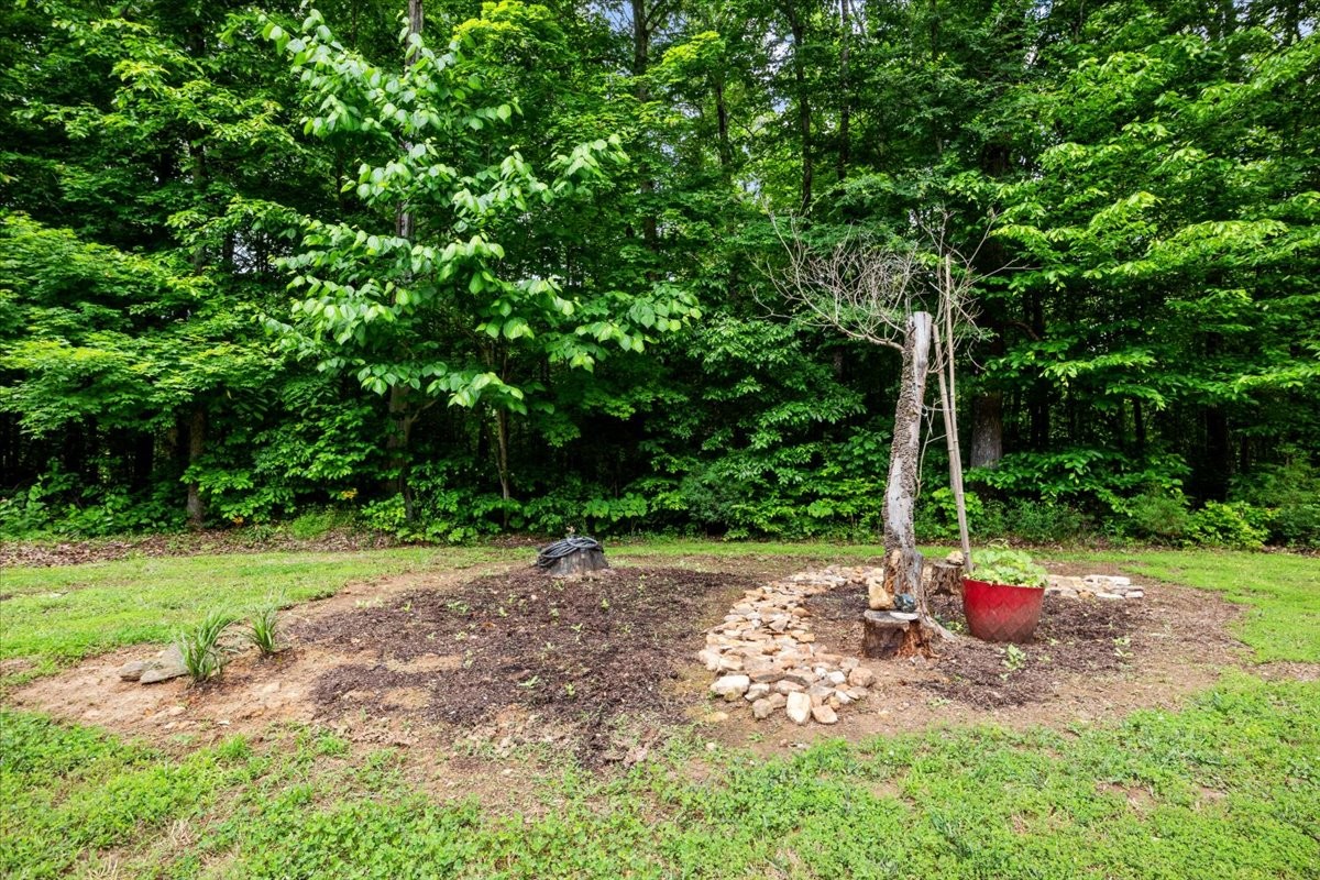 100 Croff Lane McEwen, TN 37101 - Photo 33 of 63 a view of a park