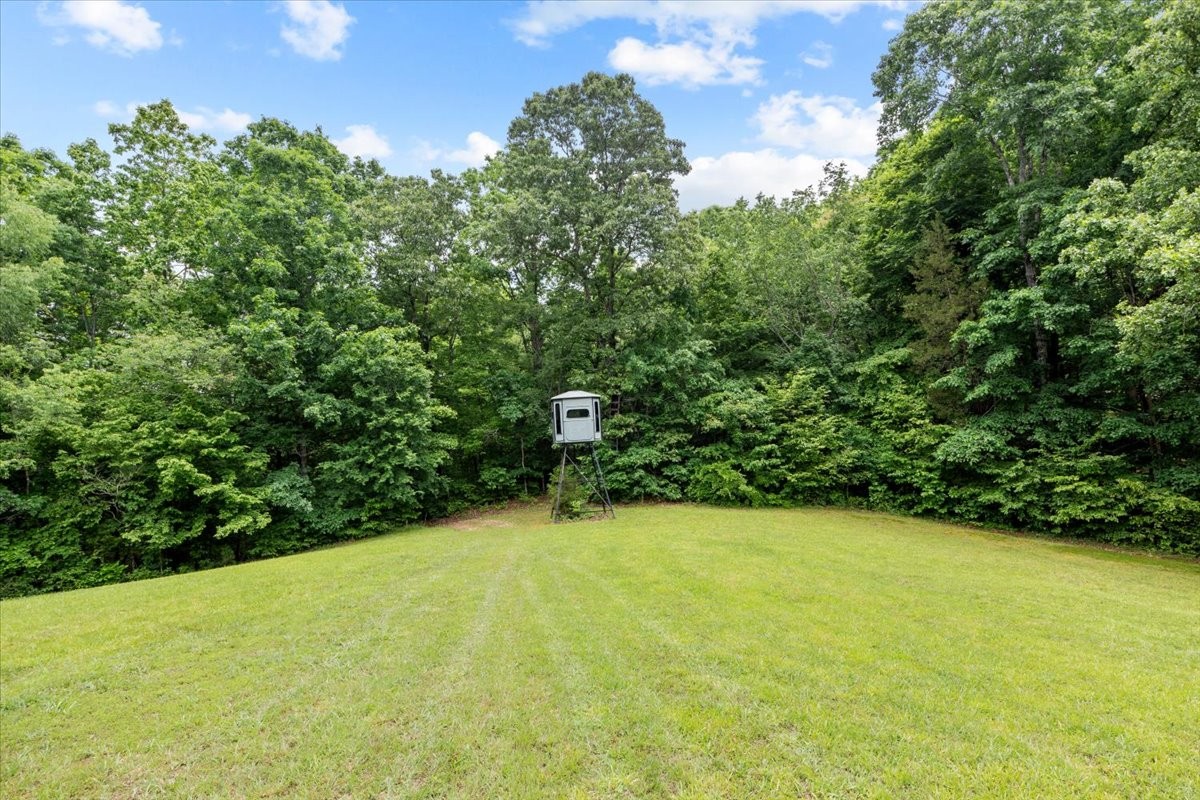 100 Croff Lane McEwen, TN 37101 - Photo 36 of 63