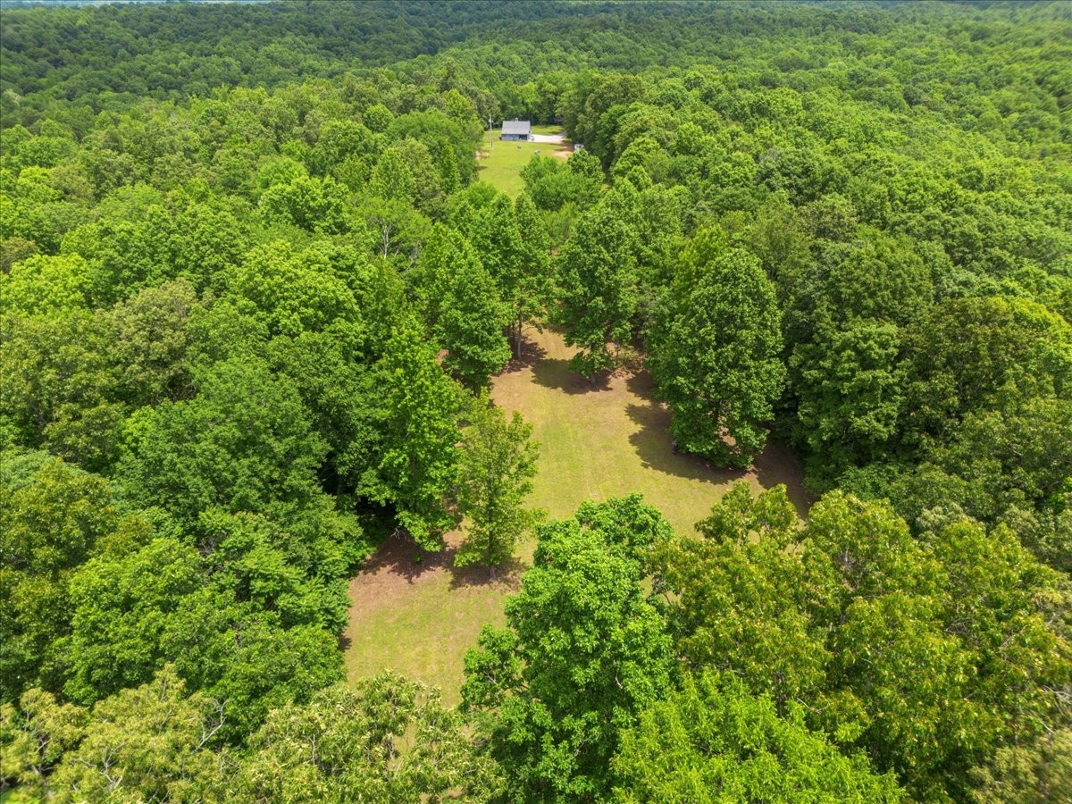 100 Croff Lane McEwen, TN 37101 - Photo 37 of 63 a backyard of a house with a yard and lake view