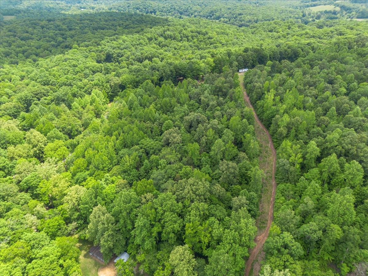 100 Croff Lane McEwen, TN 37101 - Photo 38 of 63 a view of a lush green forest