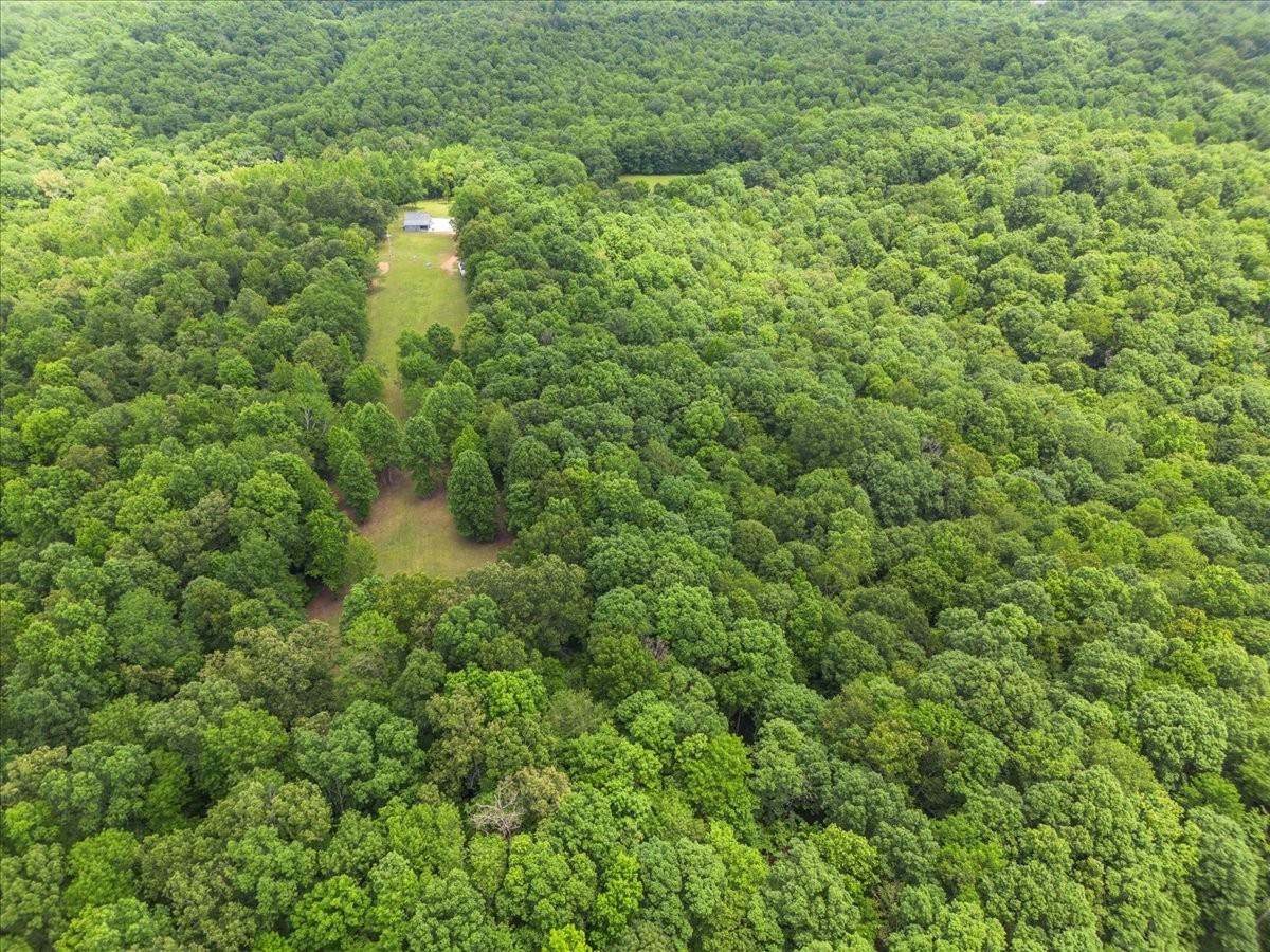 100 Croff Lane McEwen, TN 37101 - Photo 39 of 63 a view of a lush green forest