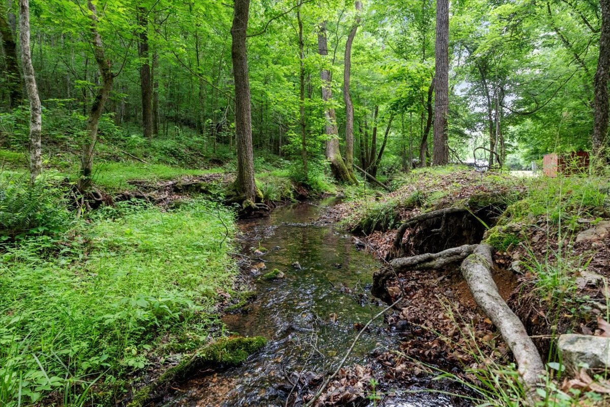 100 Croff Lane McEwen, TN 37101 - Photo 4 of 63