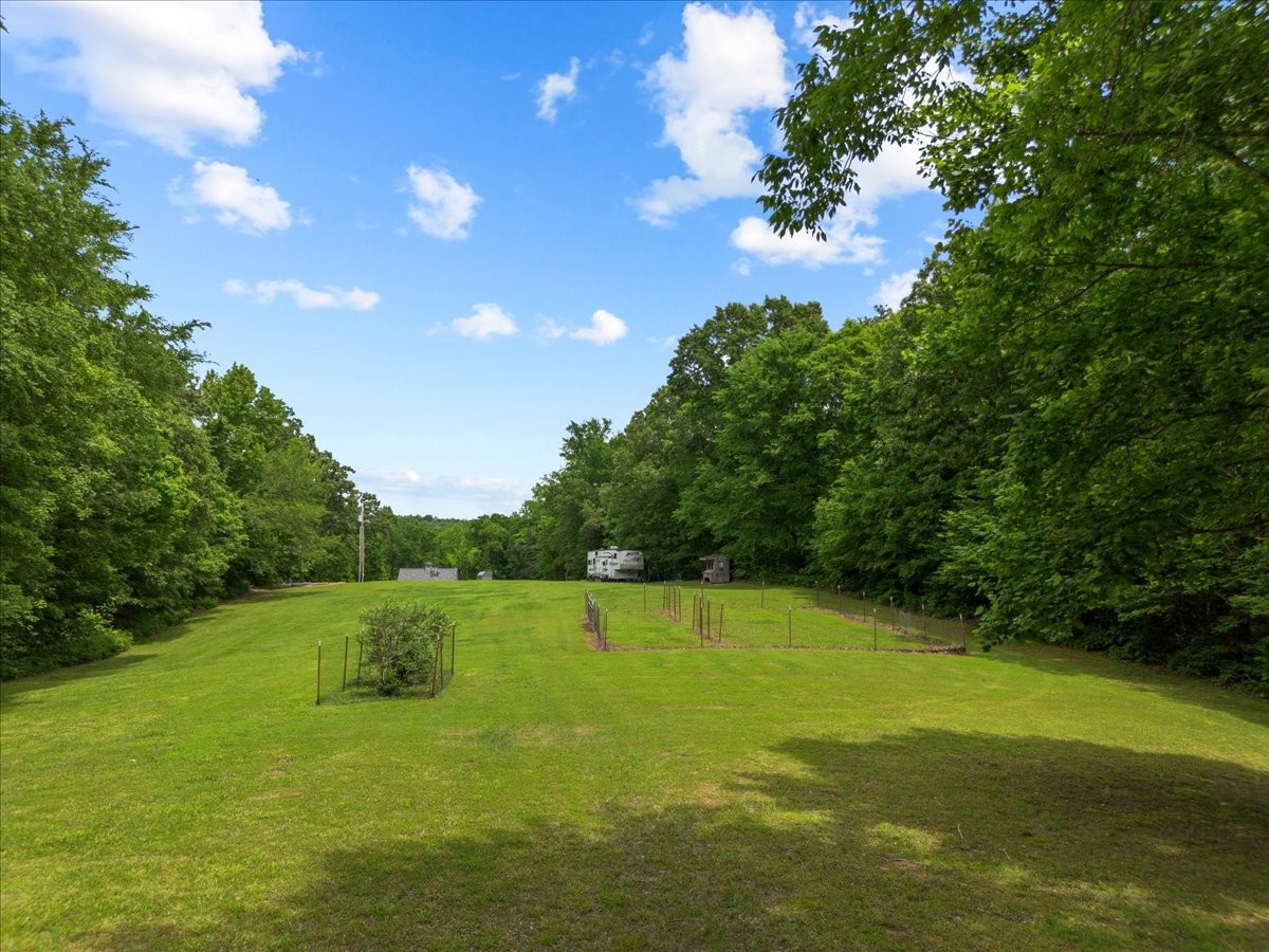 100 Croff Lane McEwen, TN 37101 - Photo 43 of 63 a view of a green yard