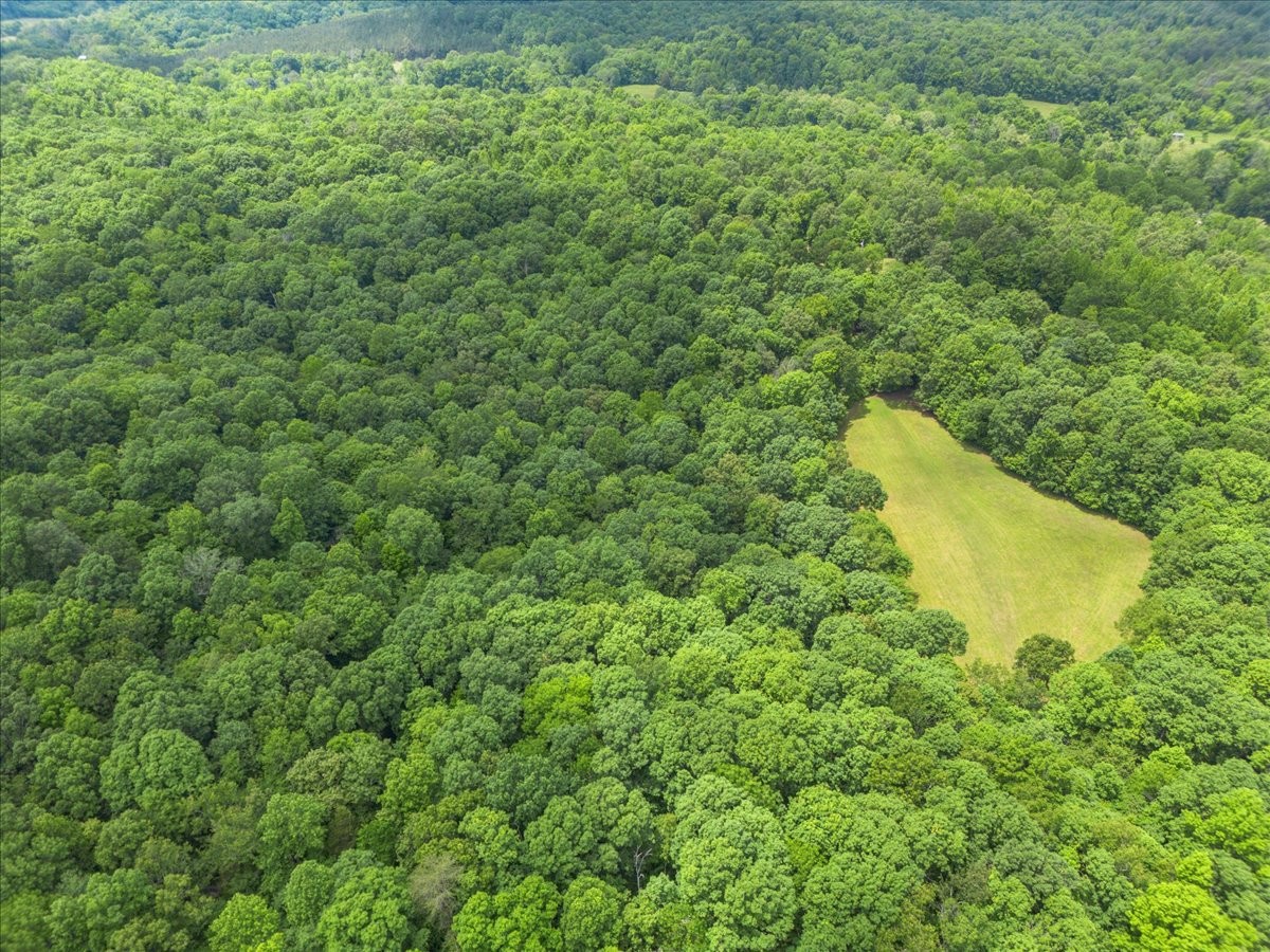 100 Croff Lane McEwen, TN 37101 - Photo 44 of 63 a view of a green field with lots of bushes