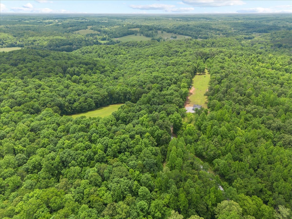 100 Croff Lane McEwen, TN 37101 - Photo 45 of 63 a view of a lush green forest from a yard