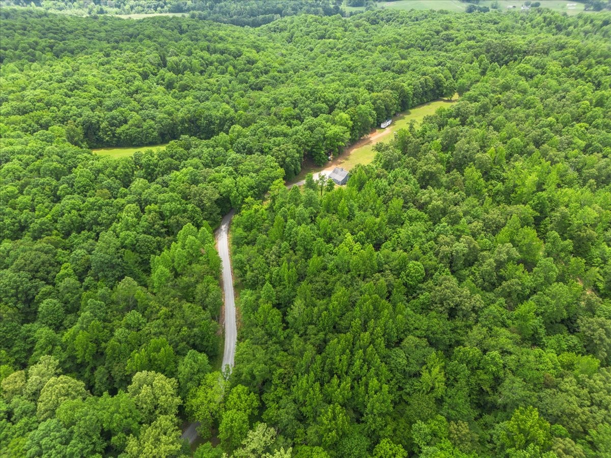 100 Croff Lane McEwen, TN 37101 - Photo 46 of 63 a view of a lush green forest with lots of trees