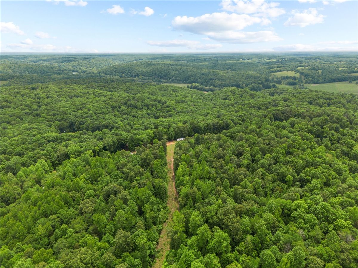 100 Croff Lane McEwen, TN 37101 - Photo 47 of 63 a view of a green field with lots of bushes
