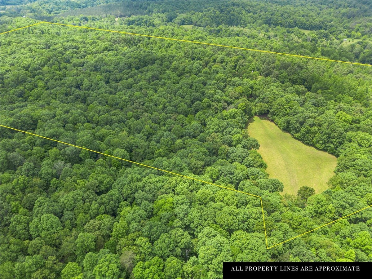 100 Croff Lane McEwen, TN 37101 - Photo 48 of 63 a view of a green field with lots of bushes
