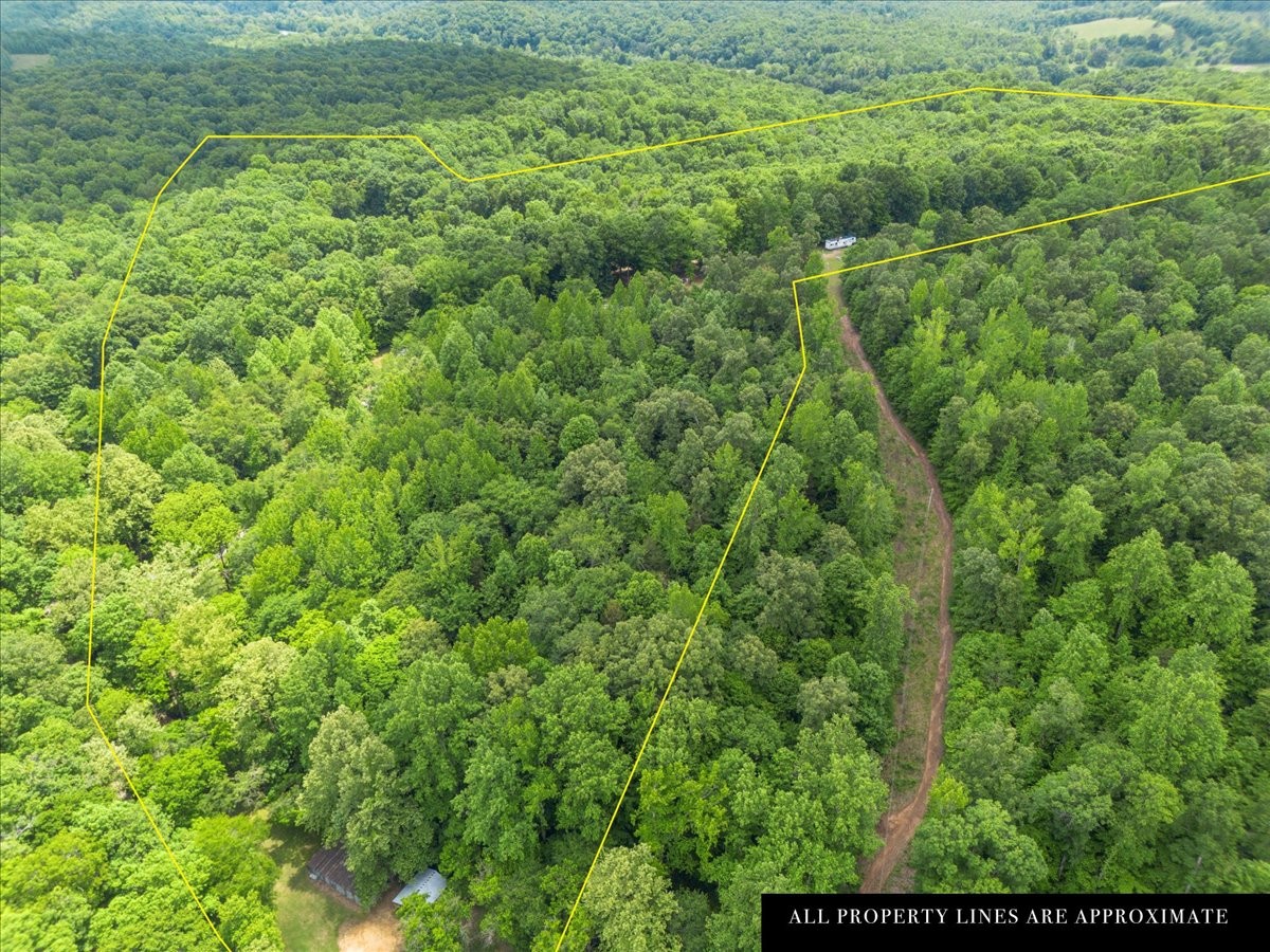 100 Croff Lane McEwen, TN 37101 - Photo 49 of 63