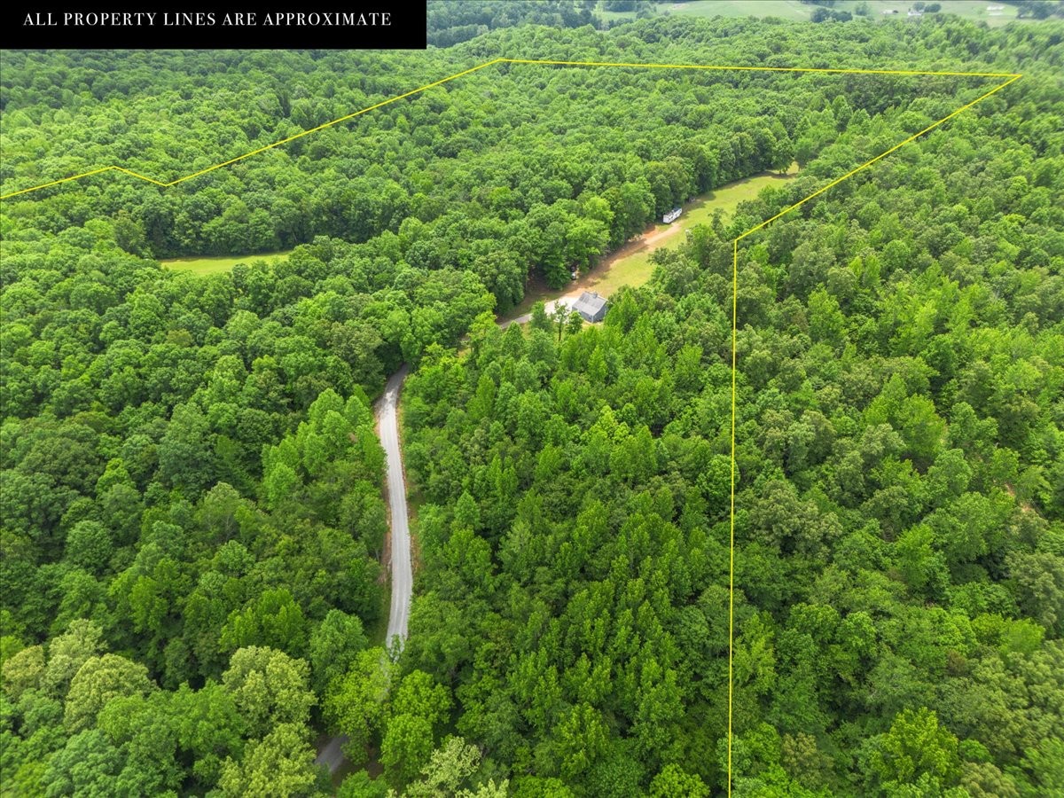 100 Croff Lane McEwen, TN 37101 - Photo 50 of 63 a view of a yard with plants