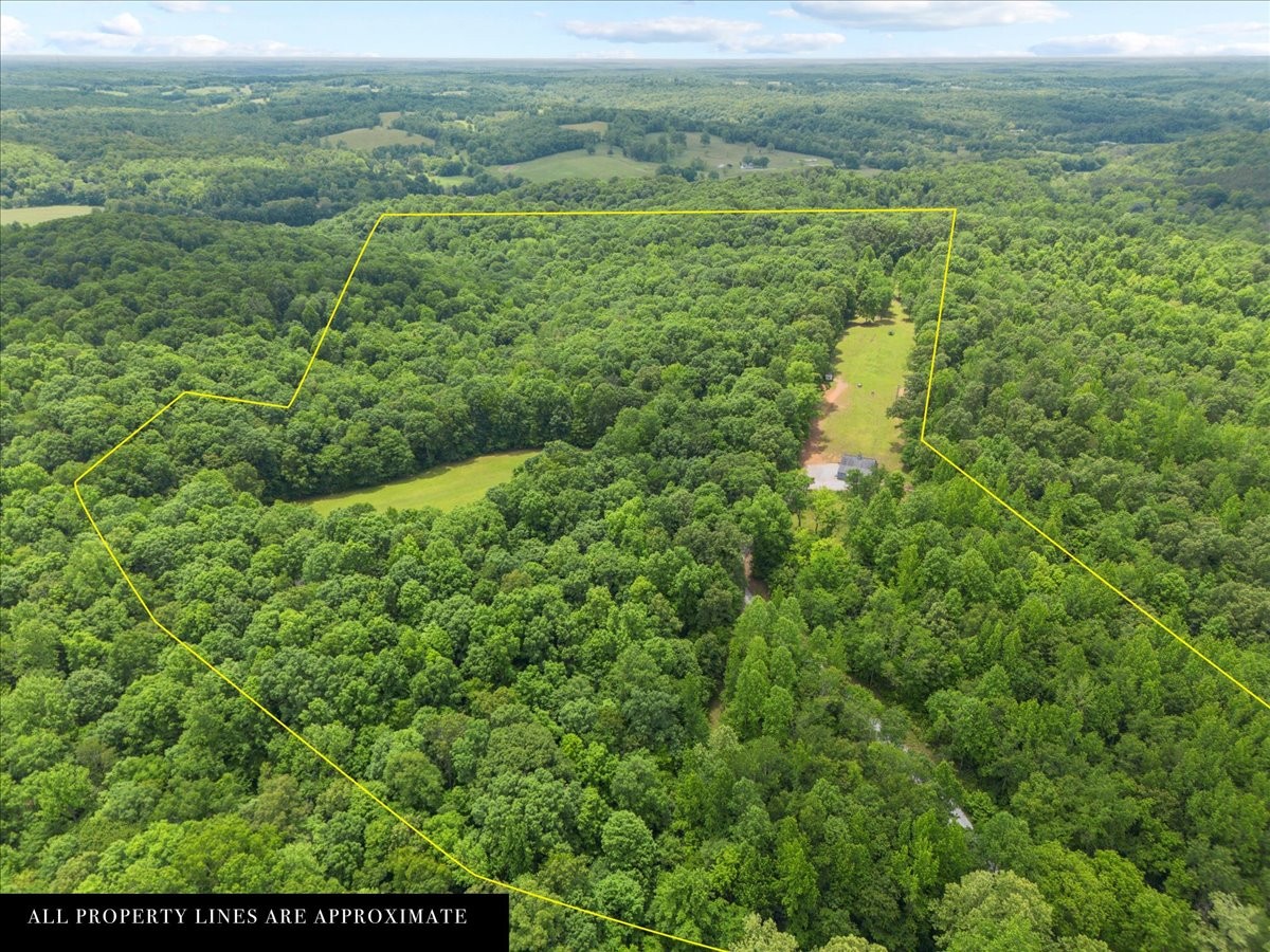 100 Croff Lane McEwen, TN 37101 - Photo 51 of 63 a view of a lush green forest from a yard