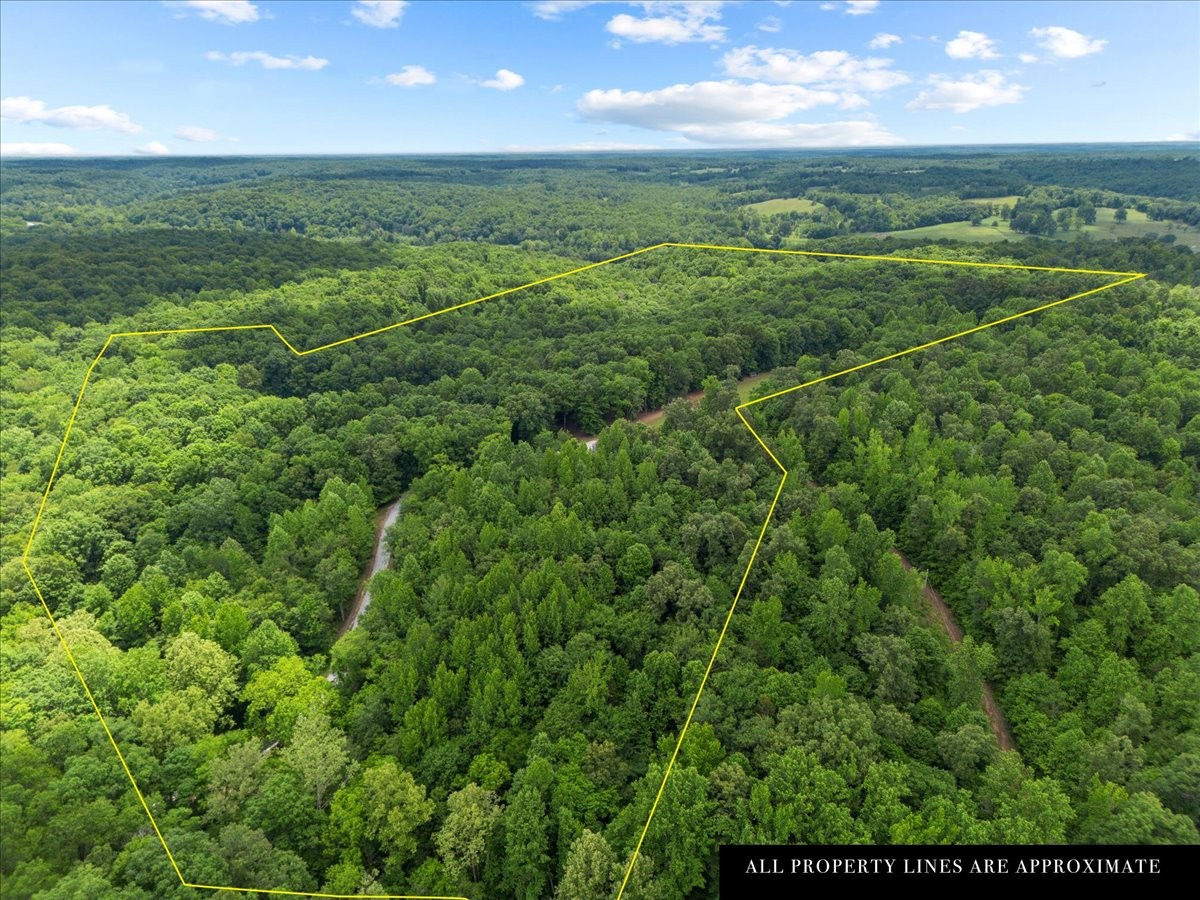 100 Croff Lane McEwen, TN 37101 - Photo 52 of 63 a view of an outdoor space and a yard