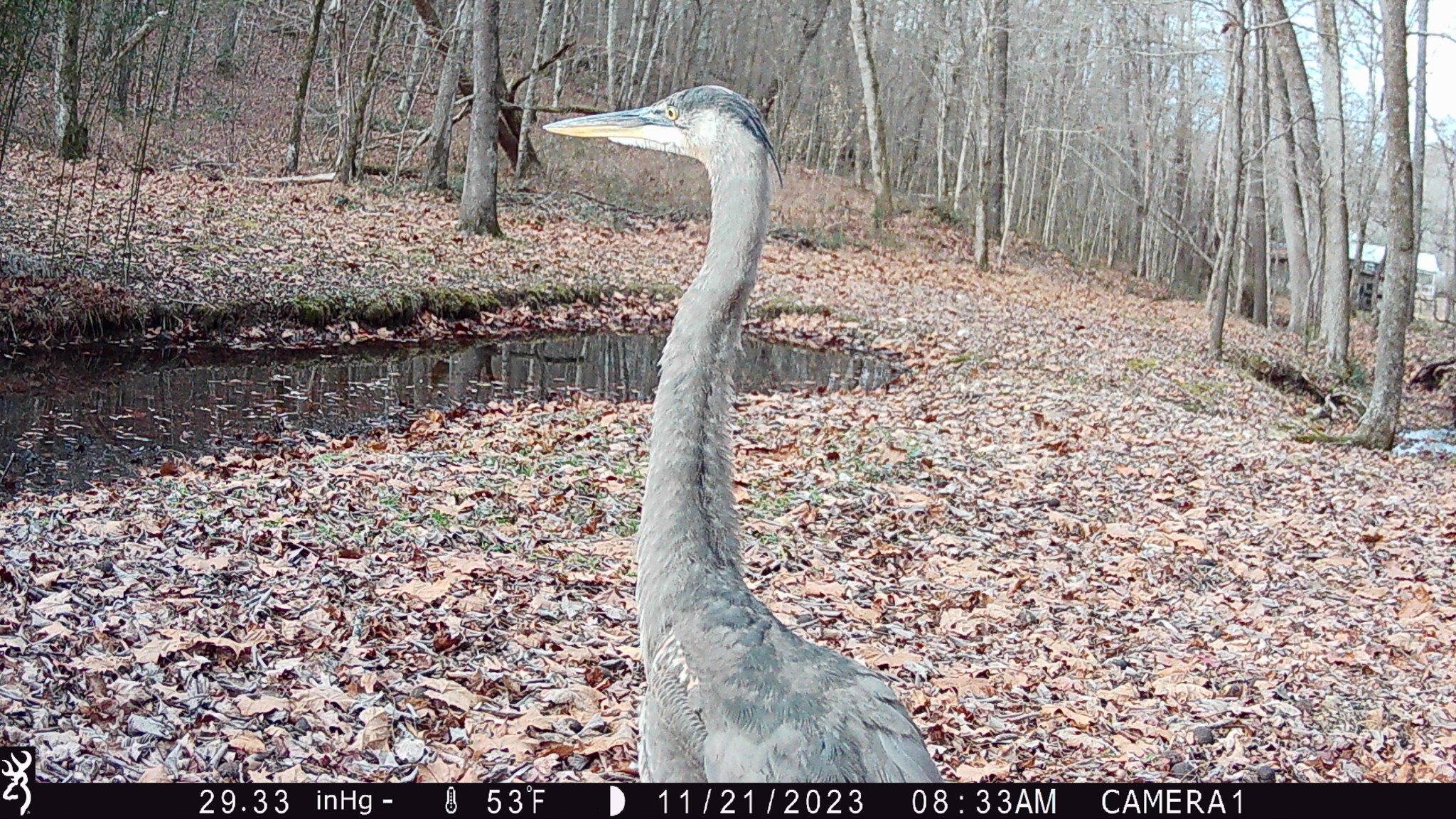 100 Croff Lane McEwen, TN 37101 - Photo 53 of 63