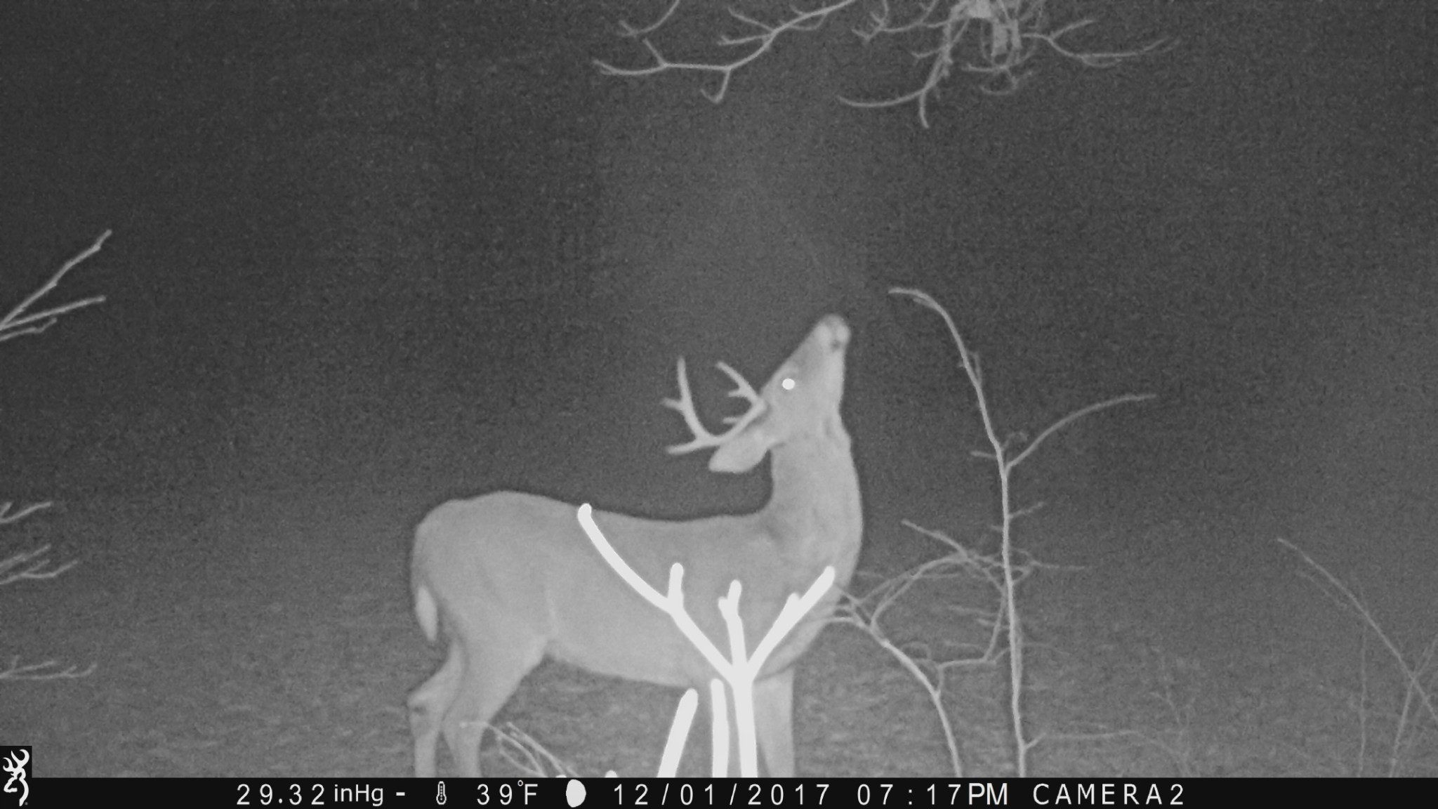 100 Croff Lane McEwen, TN 37101 - Photo 56 of 63 a close view of tap