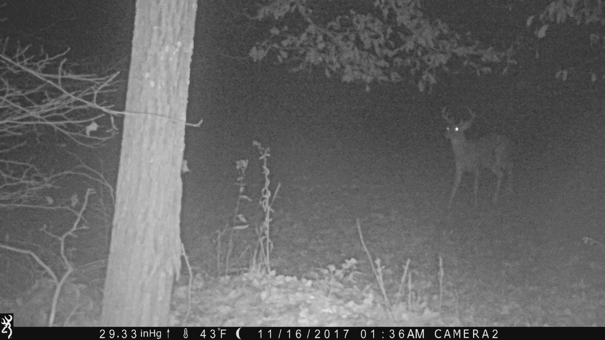 100 Croff Lane McEwen, TN 37101 - Photo 57 of 63 a view of a bathroom