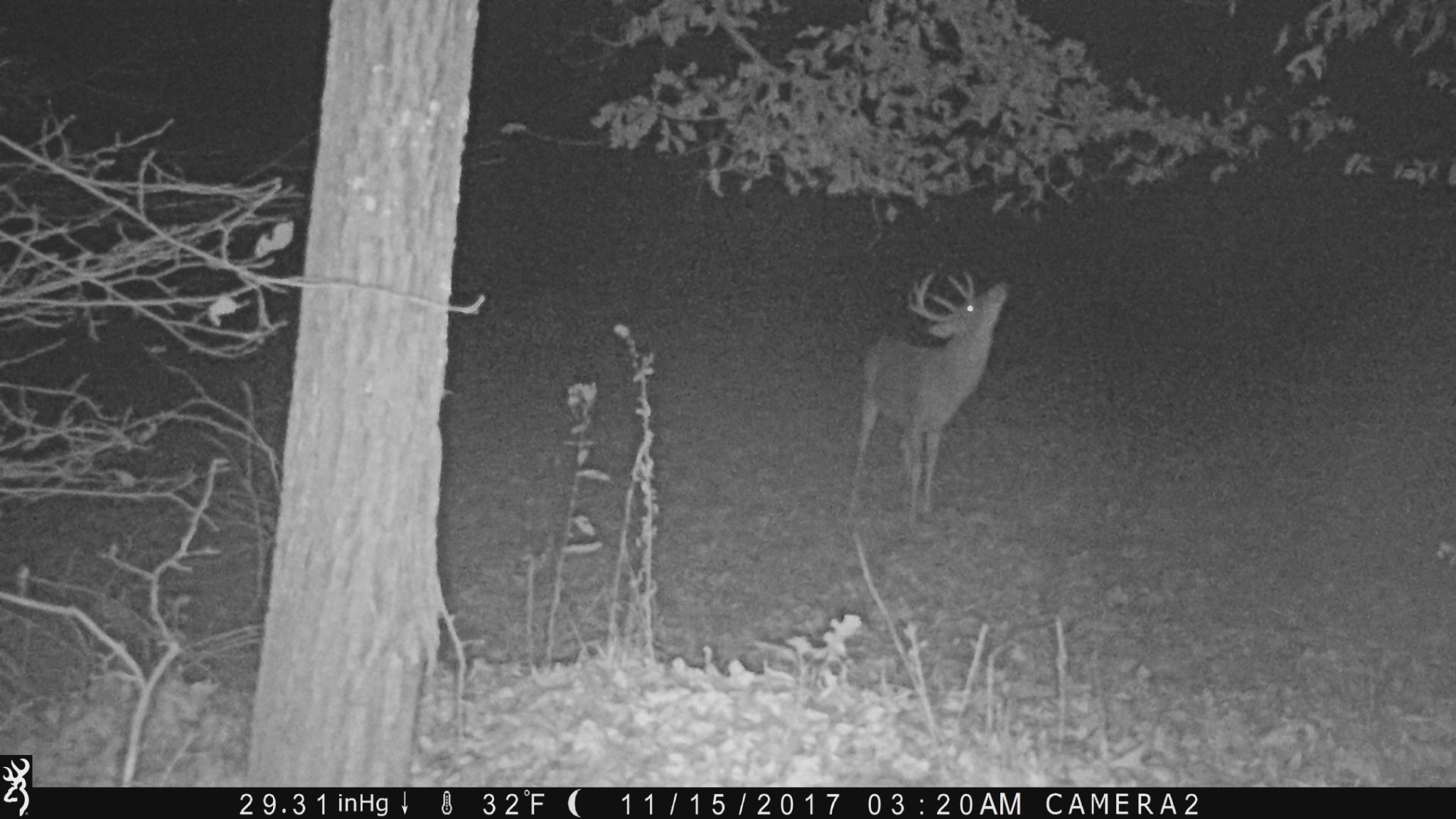 100 Croff Lane McEwen, TN 37101 - Photo 58 of 63 a view of a bathroom