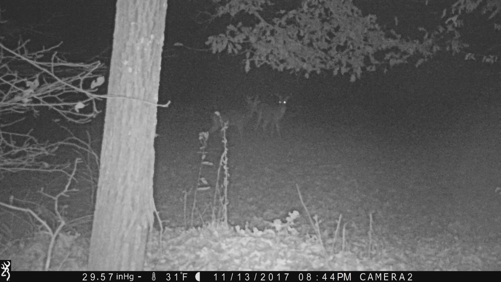 100 Croff Lane McEwen, TN 37101 - Photo 59 of 63 a picture of a bathroom