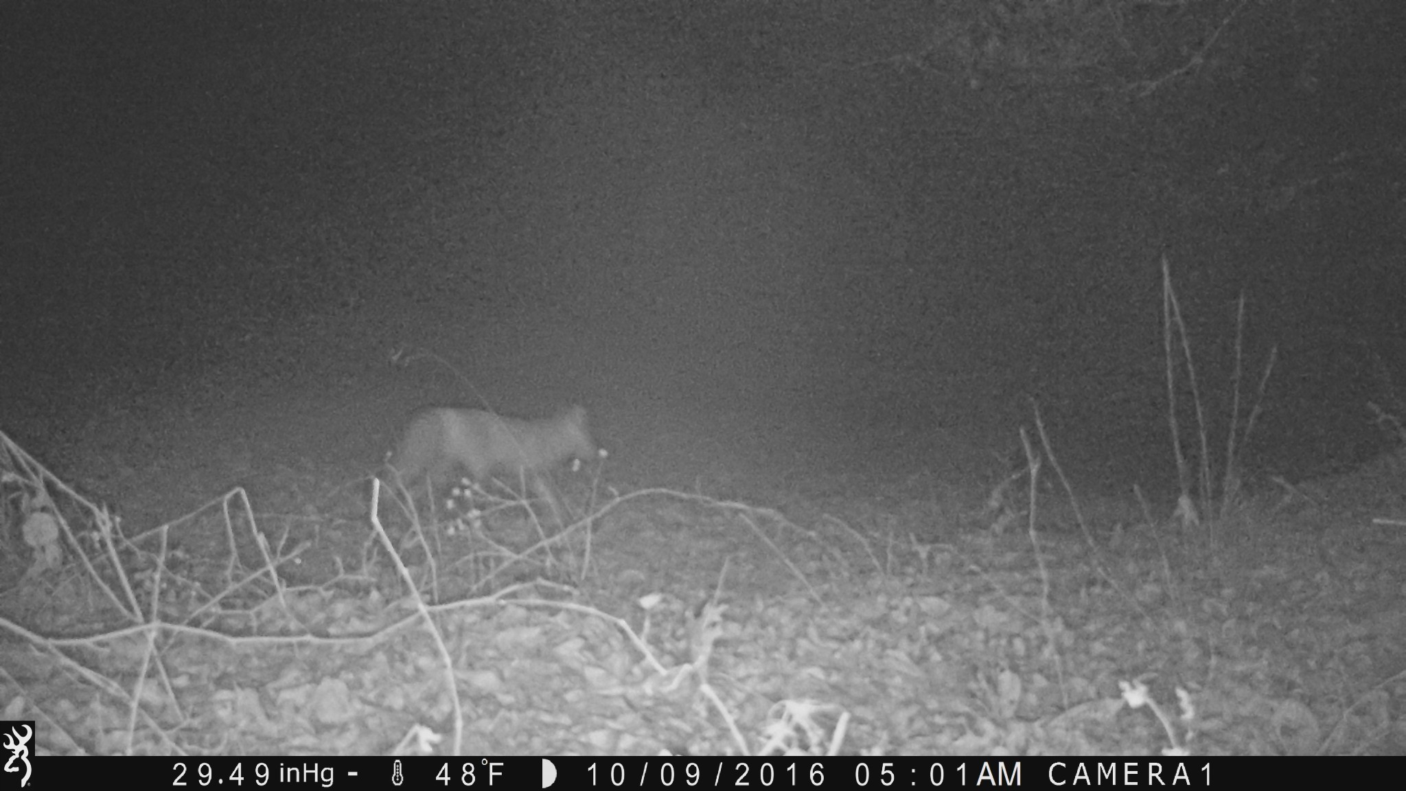 100 Croff Lane McEwen, TN 37101 - Photo 62 of 63