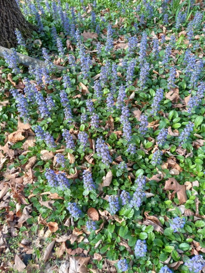 100 Croff Lane McEwen, TN 37101 - Photo 63 of 63