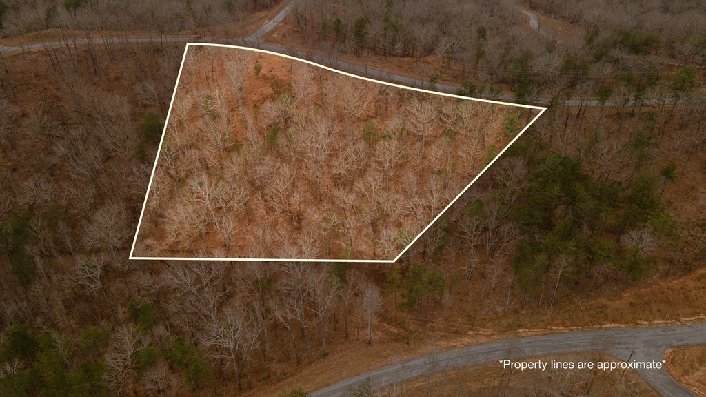 Lot 5 Blalock Mountain Road Talking Rock, GA 30175 - Photo 10 of 22