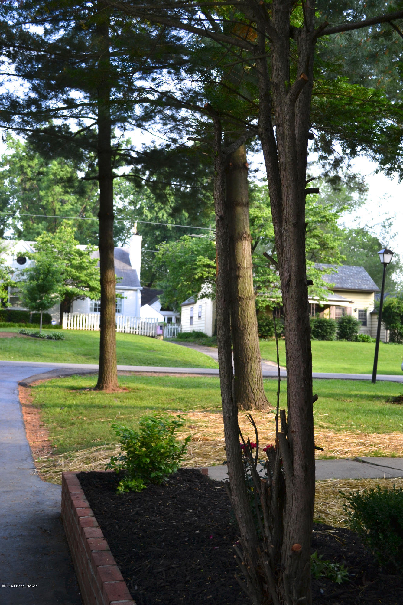 4027 Springhill Road Louisville, KY 40207 - Photo 43 of 48 DSC_0583