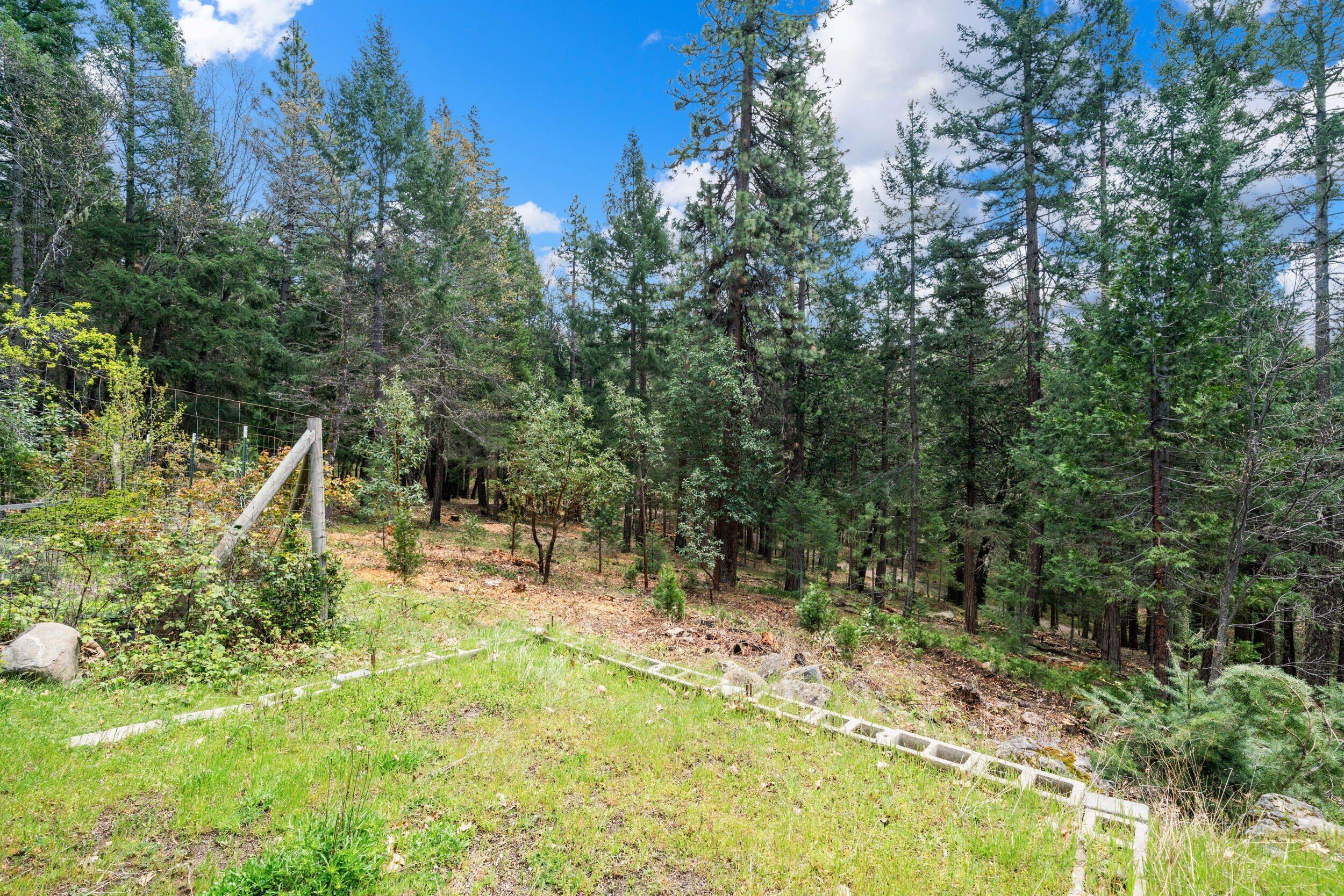 827 Tyler Creek Road Ashland, OR 97520 - Photo 28 of 32