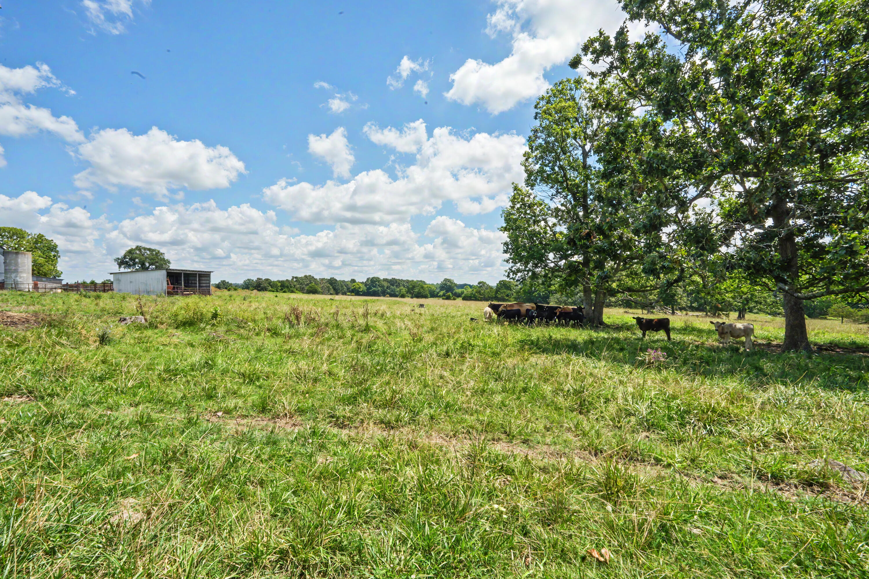 1114 Vermule Road Billings, MO 65610 - Photo 36 of 62 34_1114 Vermule Rd