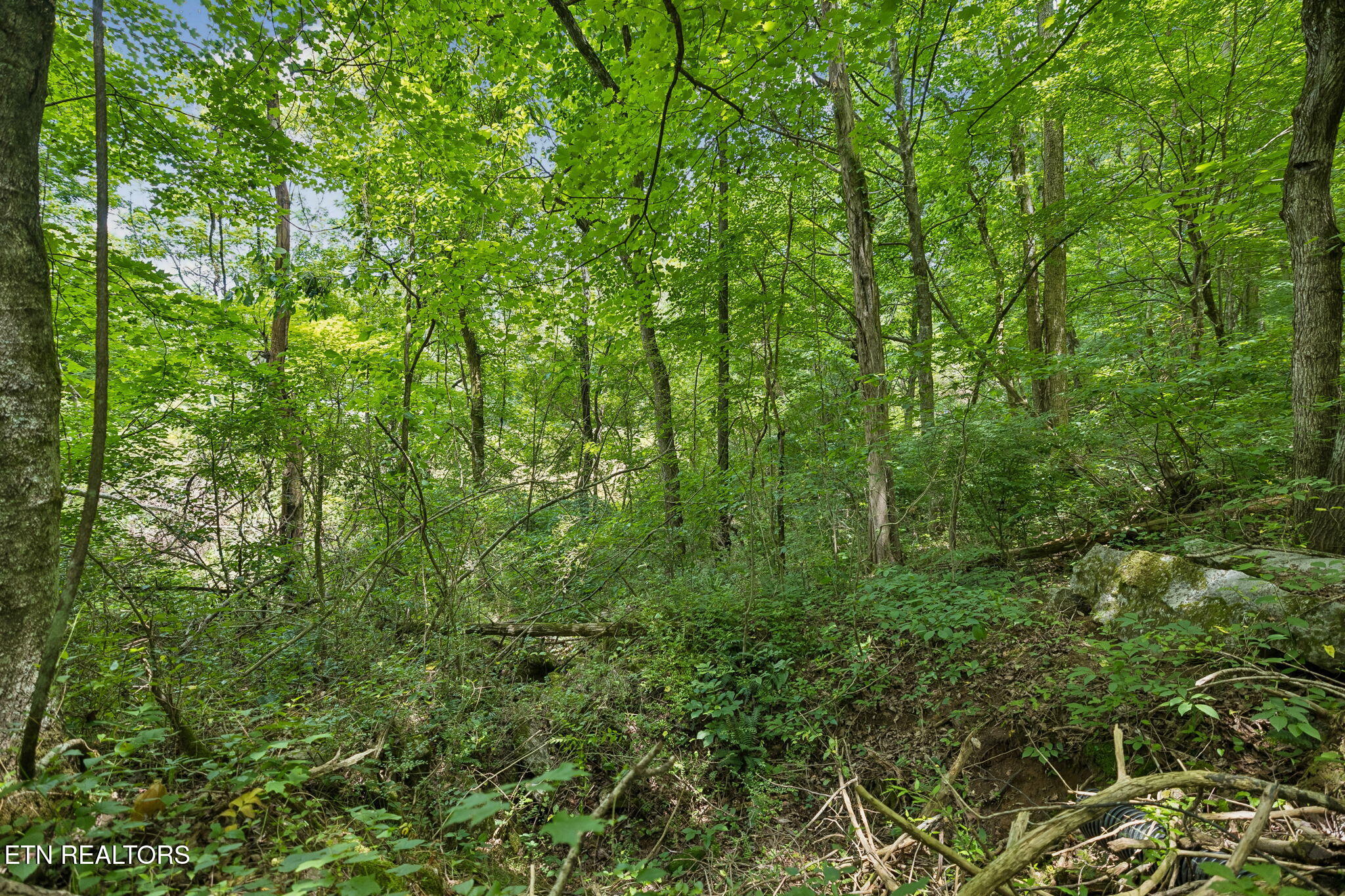 Knob Road Rutledge, TN 37861 - Photo 21 of 46 15-344 Knob Rd - 015