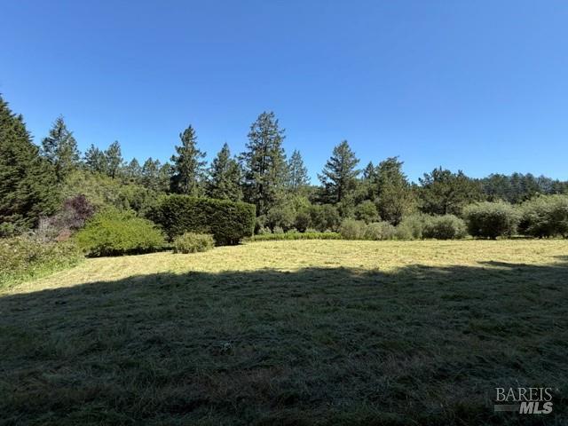 16875 Coleman Valley Road Occidental, CA 95465 - Photo 65 of 78