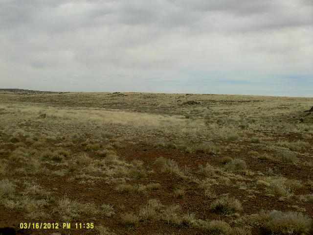 Lot 62 Cedar Gulch Ranch Concho, AZ 85924 - Photo 2 of 6