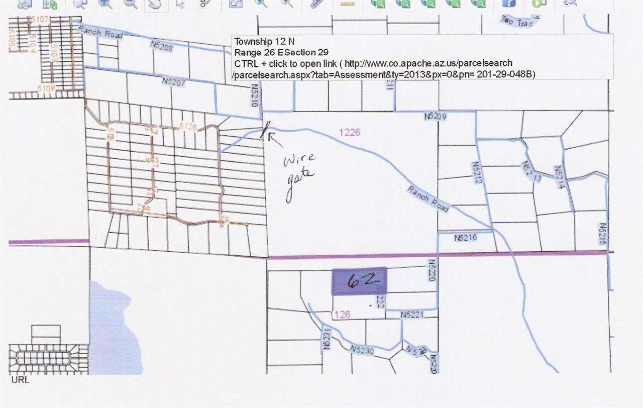 Lot 62 Cedar Gulch Ranch Concho, AZ 85924 - Photo 5 of 6