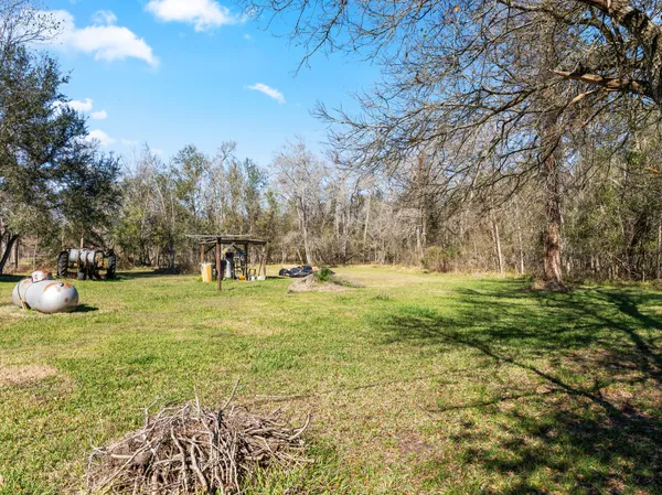 a view of yard with trees