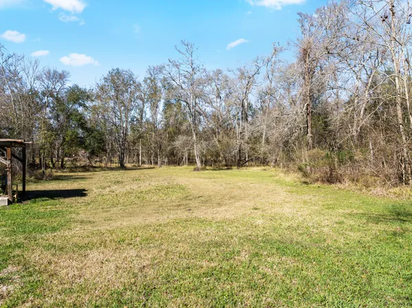 a view of yard with green space