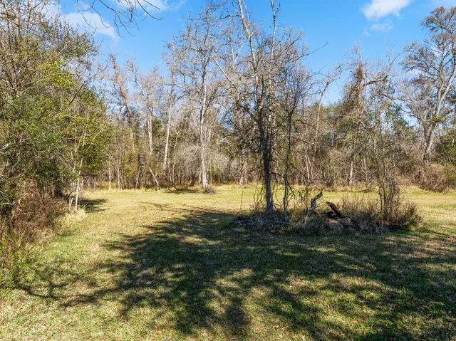 $2,000 | 5519 Kincer Road, Damon, TX 77430