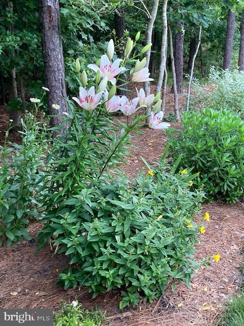 18161 Emerson Way Georgetown, DE 19947 - Photo 32 of 36