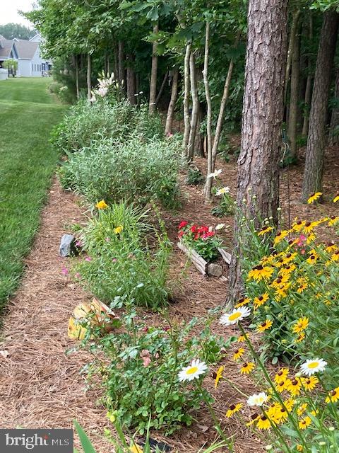 18161 Emerson Way Georgetown, DE 19947 - Photo 33 of 36