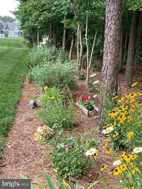 18161 Emerson Way Georgetown, DE 19947 - Photo 34 of 36