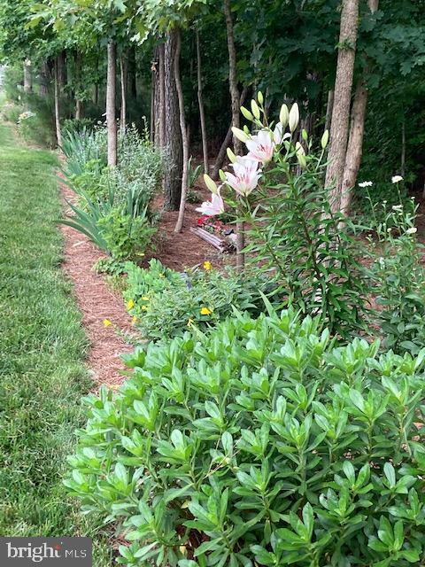 18161 Emerson Way Georgetown, DE 19947 - Photo 35 of 36