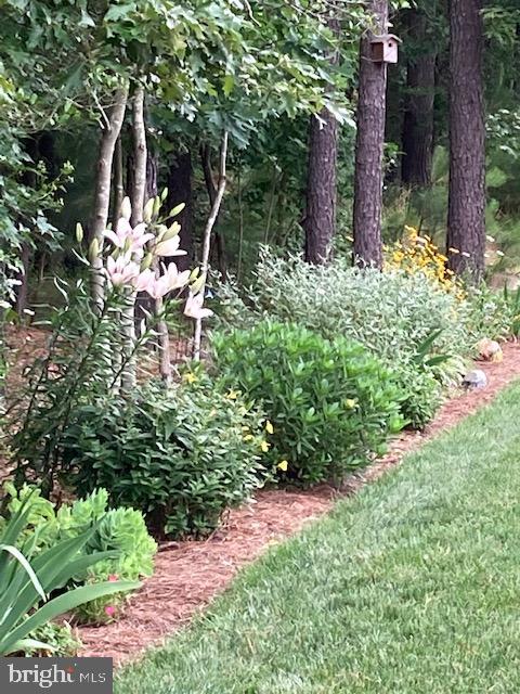 18161 Emerson Way Georgetown, DE 19947 - Photo 36 of 36