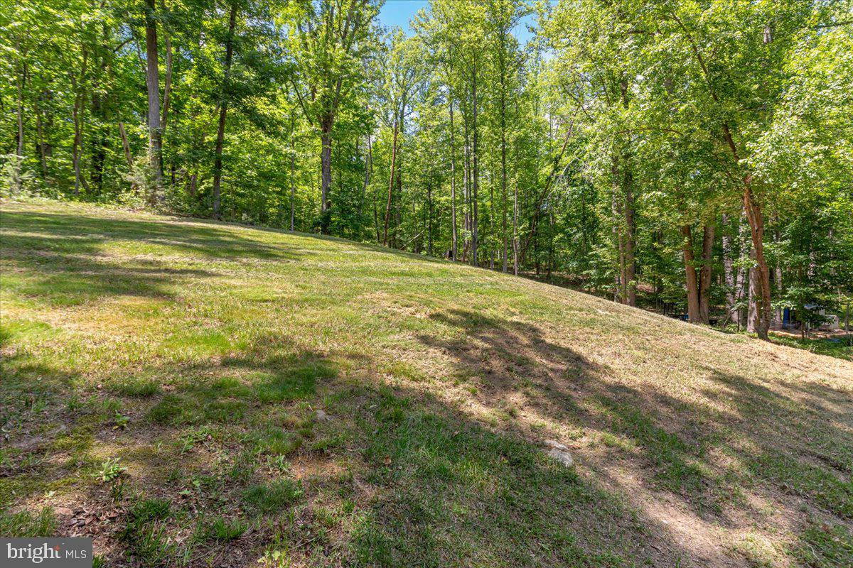5400 Free State Road Marshall, VA 20115 - Photo 46 of 64