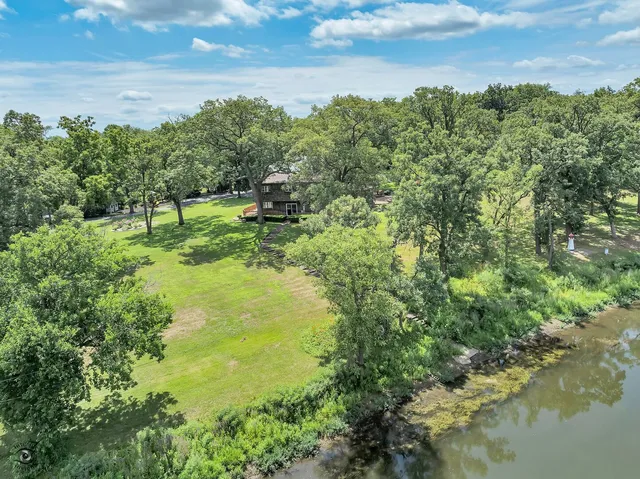 a view of a garden with plants
