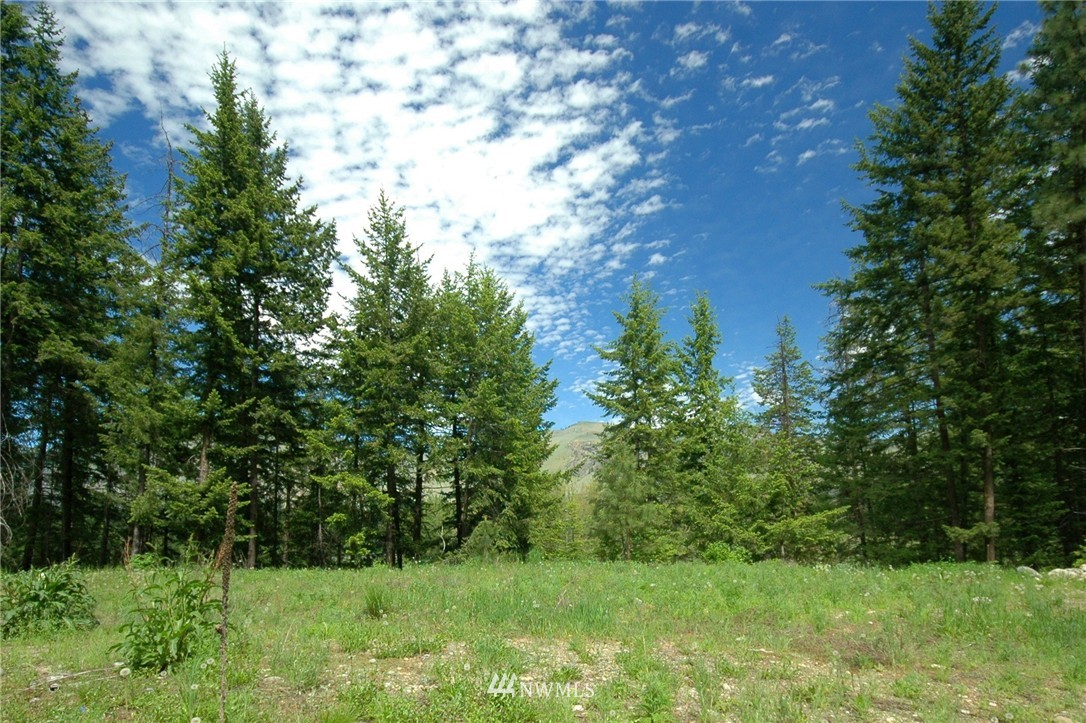 401 Wolf Creek Road Winthrop, WA 98862 - Photo 1 of 25 Gallery Image 1