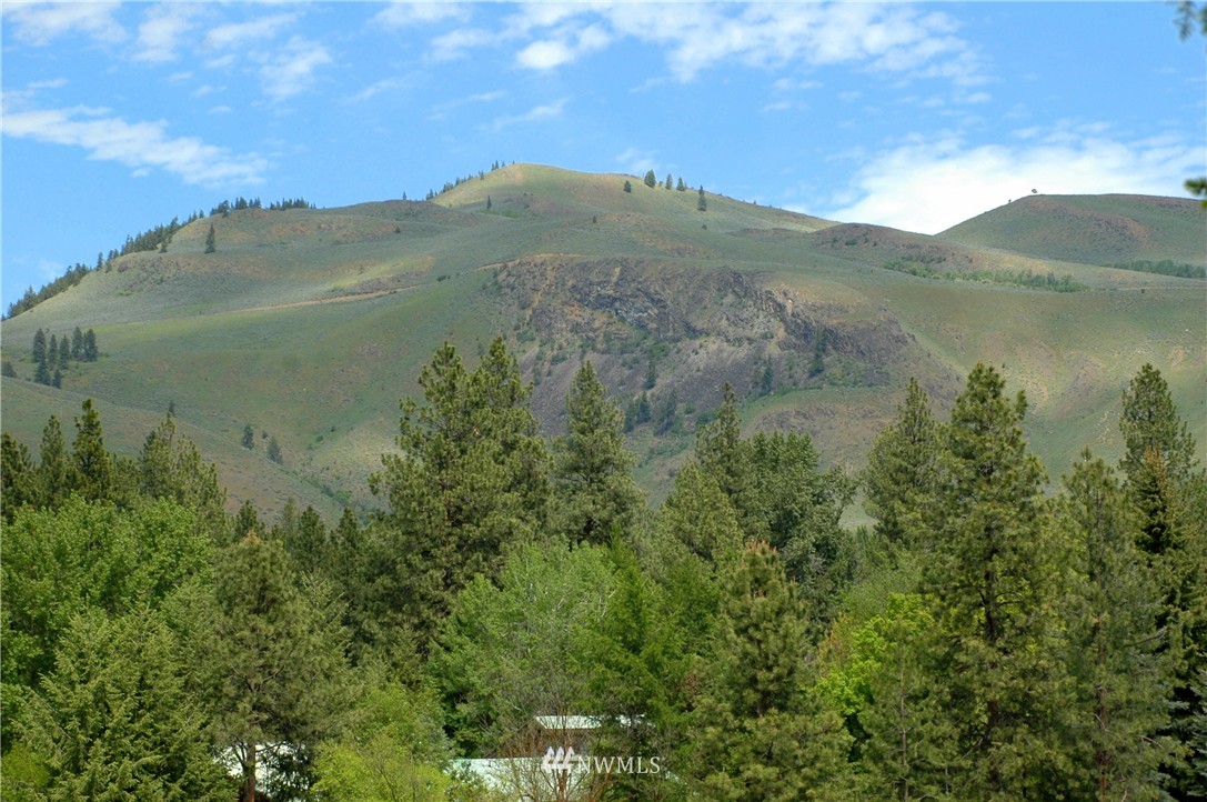 401 Wolf Creek Road Winthrop, WA 98862 - Photo 2 of 25 Gallery Image 2