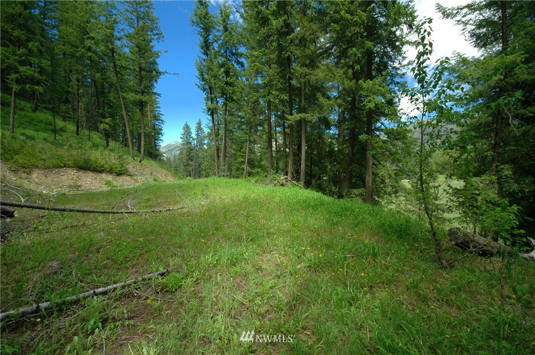 401 Wolf Creek Road Winthrop, WA 98862 - Photo 11 of 25 Gallery Image 11