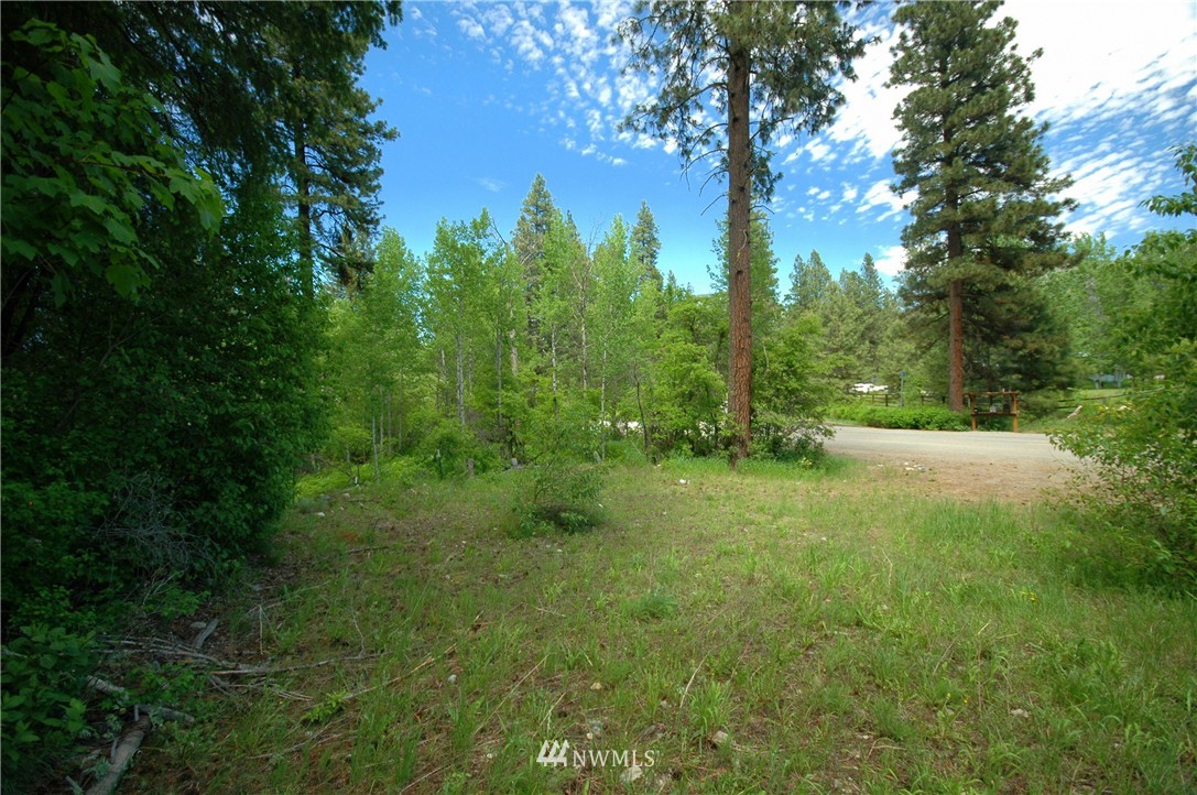 401 Wolf Creek Road Winthrop, WA 98862 - Photo 13 of 25 Gallery Image 13