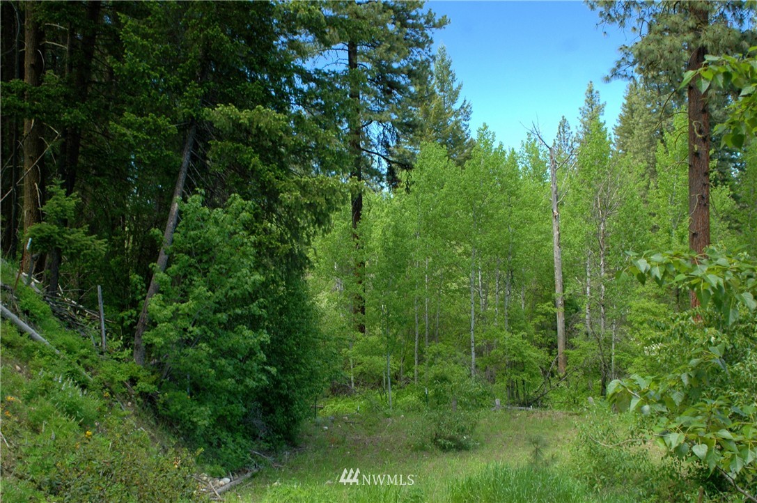 401 Wolf Creek Road Winthrop, WA 98862 - Photo 15 of 25 Gallery Image 15