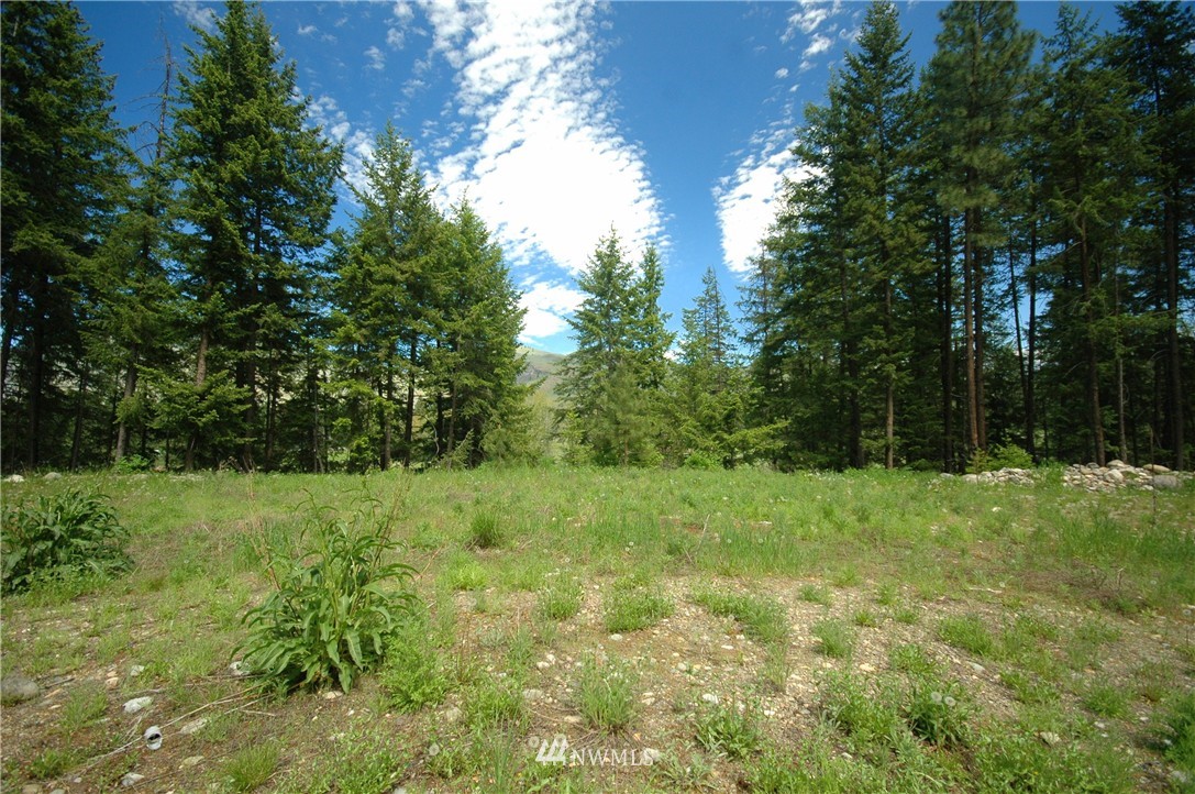401 Wolf Creek Road Winthrop, WA 98862 - Photo 16 of 25 Gallery Image 16